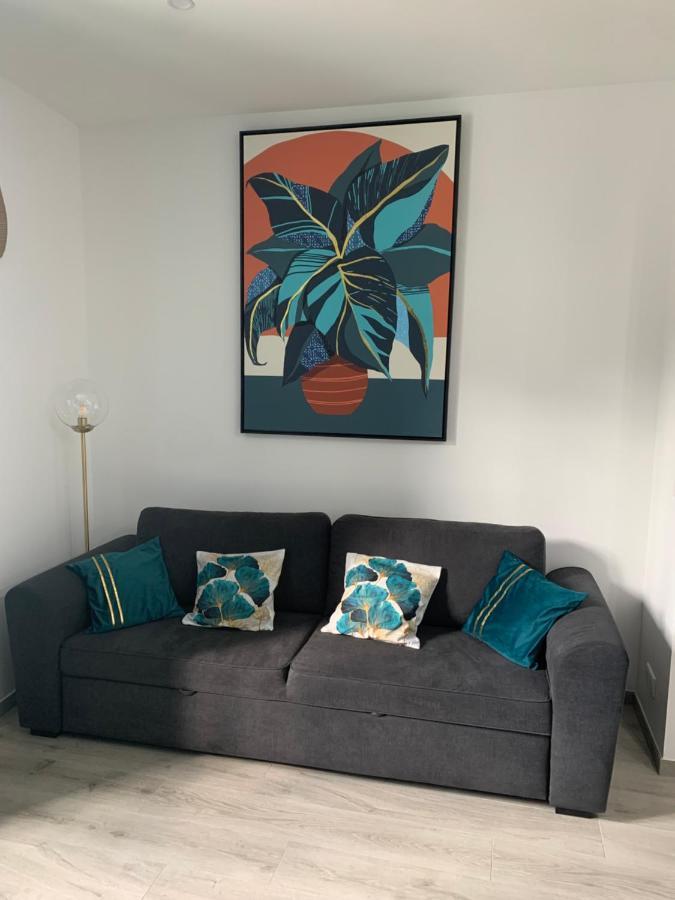 Appartement Etat Neuf La Chantalane -Proche Centre-Ville Cannes Bagian luar foto